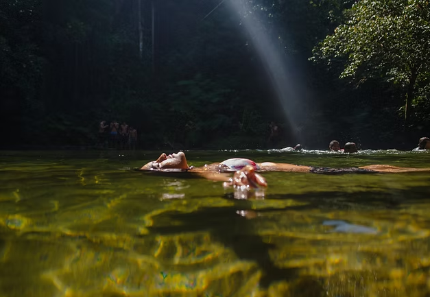 trilha-dagua-bertioga