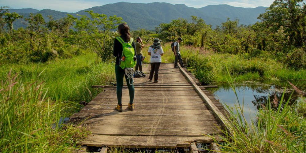 Trilha-da-Casa-de-Pedra-bertioga